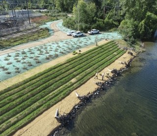 Overhead view of SWCA employees planting native species along the water to create a living shoreline.