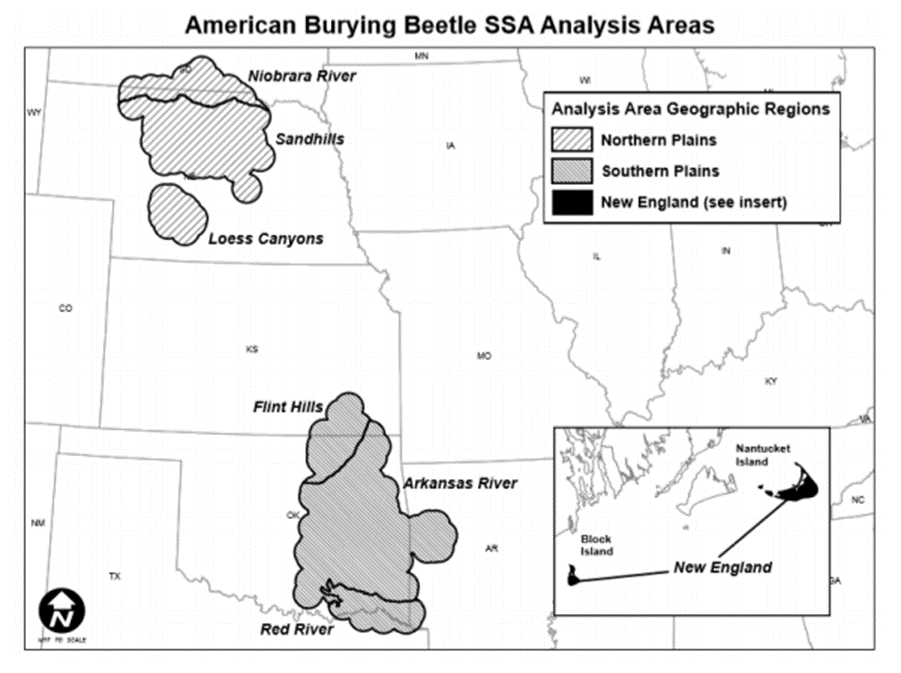 American Burying Beetle SSA Analysis Areas Map