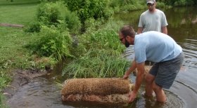 Stream Restoration Work Massachusetts