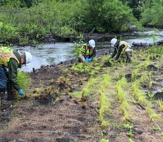 Pond Restoration