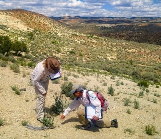 Uinta Basin work