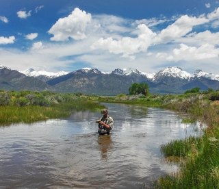 Denver Stream Survey