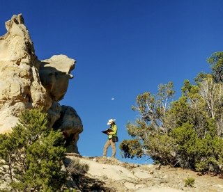 New Mexico Archaeologist