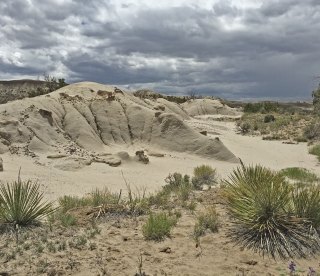 New Mexico desert