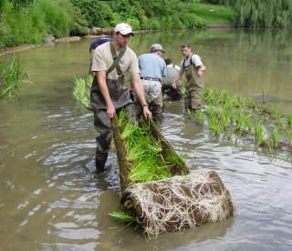 Amherst ecological restoration