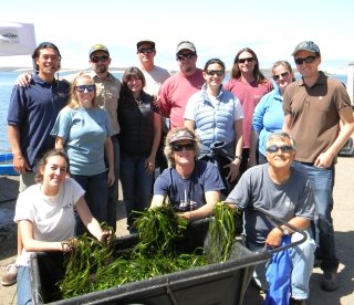 San Luis Obispo Morro Bay National Estuary Program Eelgrass Recovery