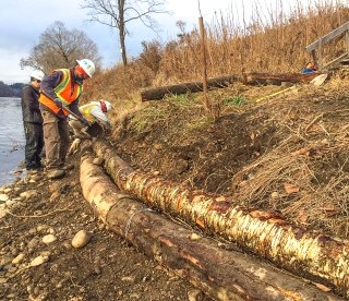 Stream Restoration