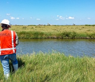 Wetlands Survey