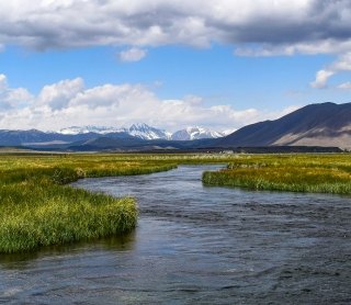 Wetlands