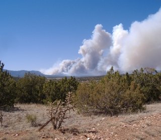 Post fire recovery work SWCA