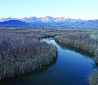 wetlands_mountain