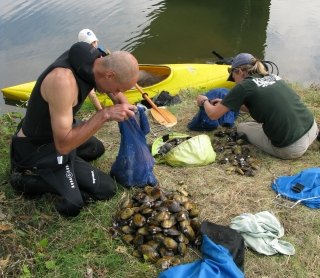 Mussel Services SWCA