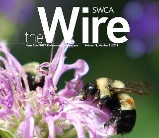 Wire Banner Image Vol18 No 1