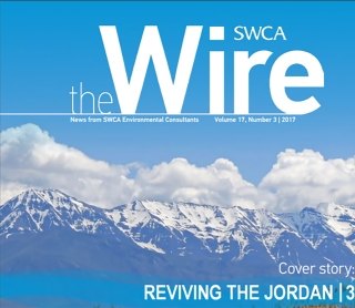 The Wire magazine cover image