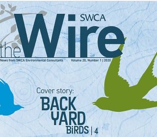 Cover image of SWCA's The Wire magazine