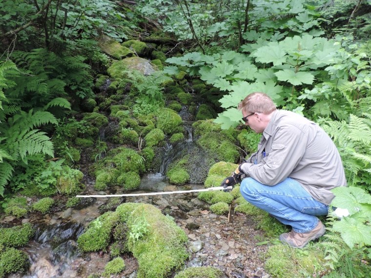 SWCA employee in the field during a third-party EIS in the Lolo National Forest in Western Montana and the Idaho Panhandle National Forests in northern Idaho. The employee is surrounded by vegetation and small stream.
