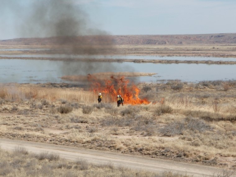 The devastating environmental impact of human progress like you've