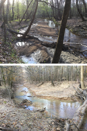 Two images showing significant amounts of sediment deposited from floods into Gregory Creek and multiple tributaries.