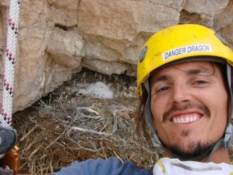 Hanging out with a golden eagle nestling in southern Nevada as part of a Mojave Desert-wide prey study
