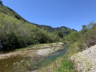 The Carmel River