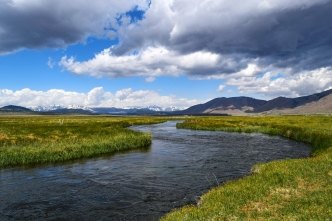 Waters of the U.S.