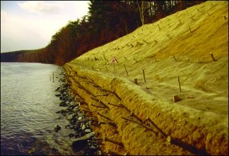 Biologs and erosion control fabrics on riverbank
