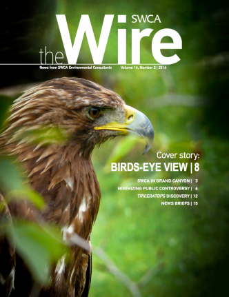 Wire Vol 16 No 2 cover