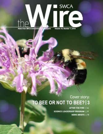 Wire Vol 18 No 1 cover 