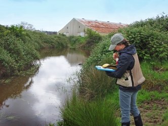 Wetlands