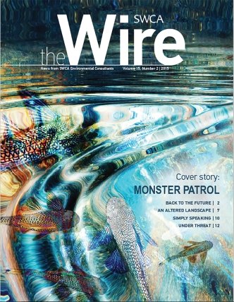 The Wire Vol 15 No 2 cover