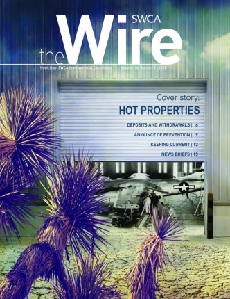 The Wire cover image thumbnail