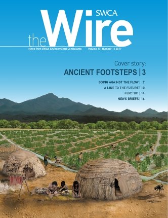 Wire Vol 17 No 1 Cover Image