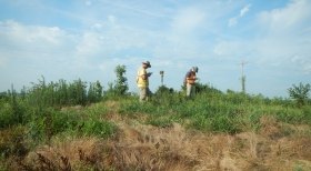 Clean Line Field Crew Using Tablets