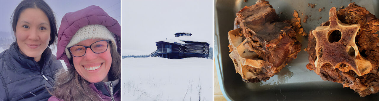 Pictured on the left: Elisa Bergman, Tribal Administrator for the community of Allakaket, and Sarah Lupis of SWCA. Also pictured a cabin covered in snow and a caribou meal. 
