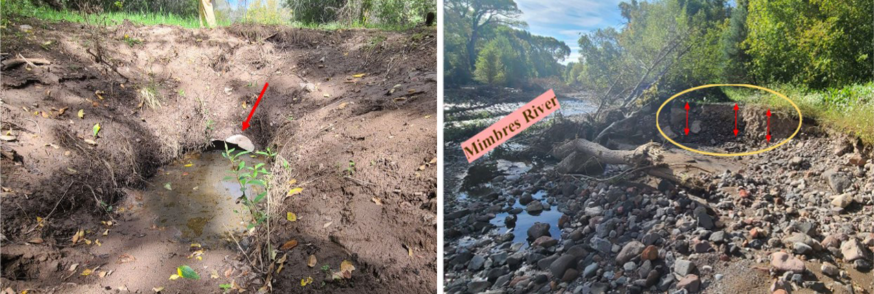 Left Image: Collapsed culvert at New Model Canal Right Image: Mimbres River with vertical head cut erosion of the riverbank