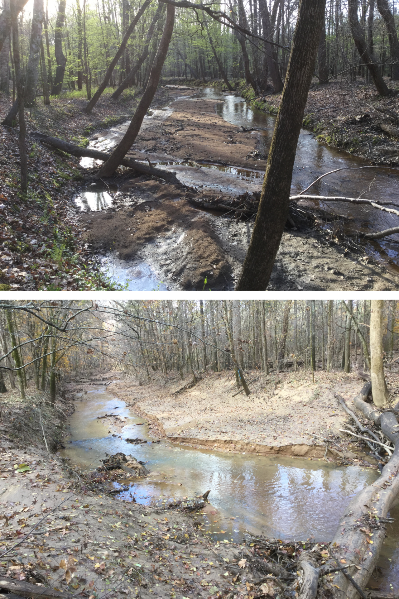 Two images showing significant amounts of sediment deposited from floods into Gregory Creek and multiple tributaries. 