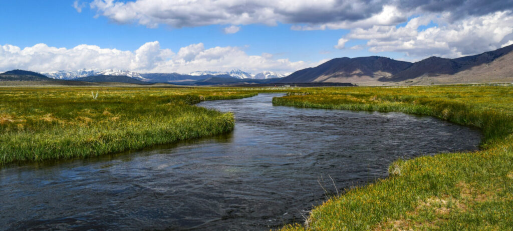 Low angle view of a winding river with wild grass at the shoreline.