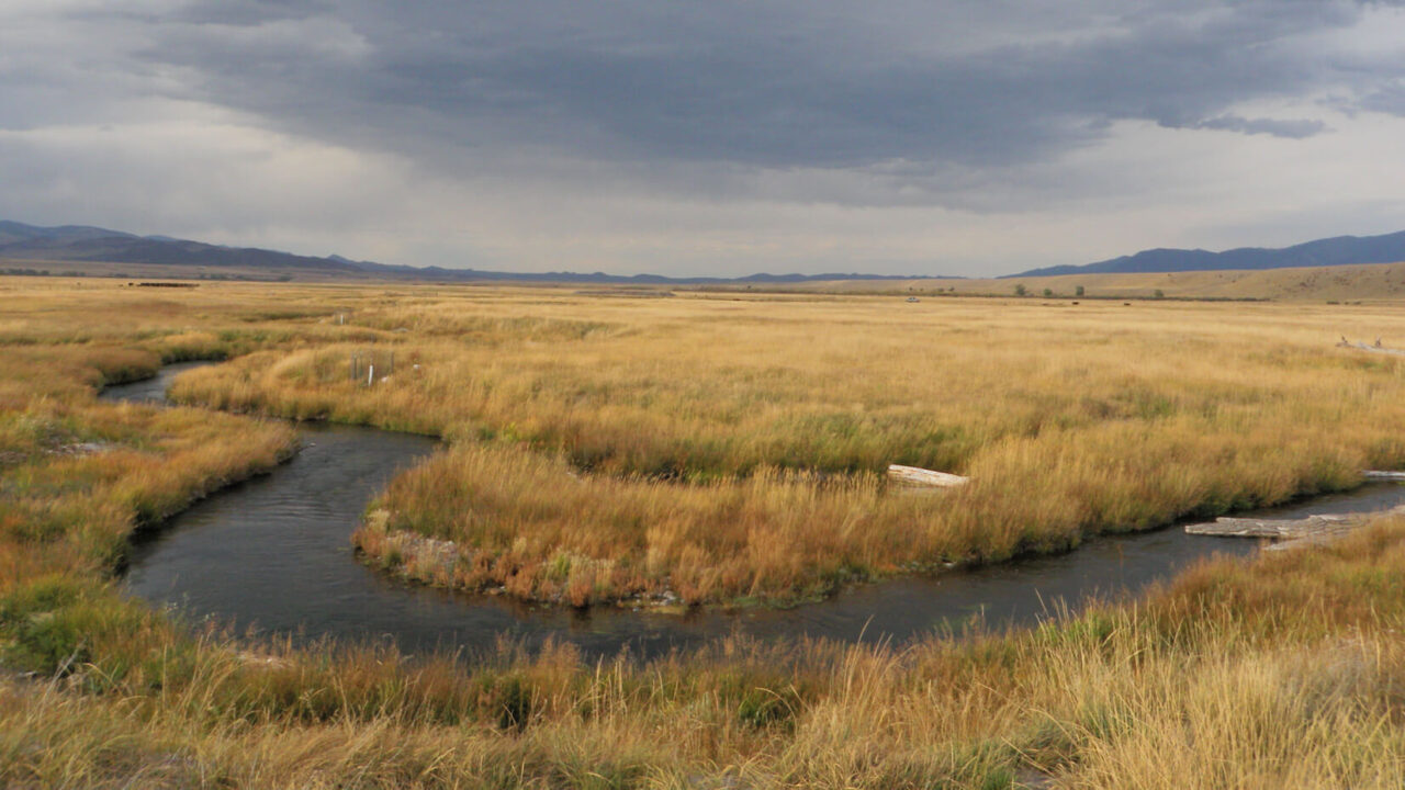 O’Dell Spring Creek headwaters in Ennis, Montana