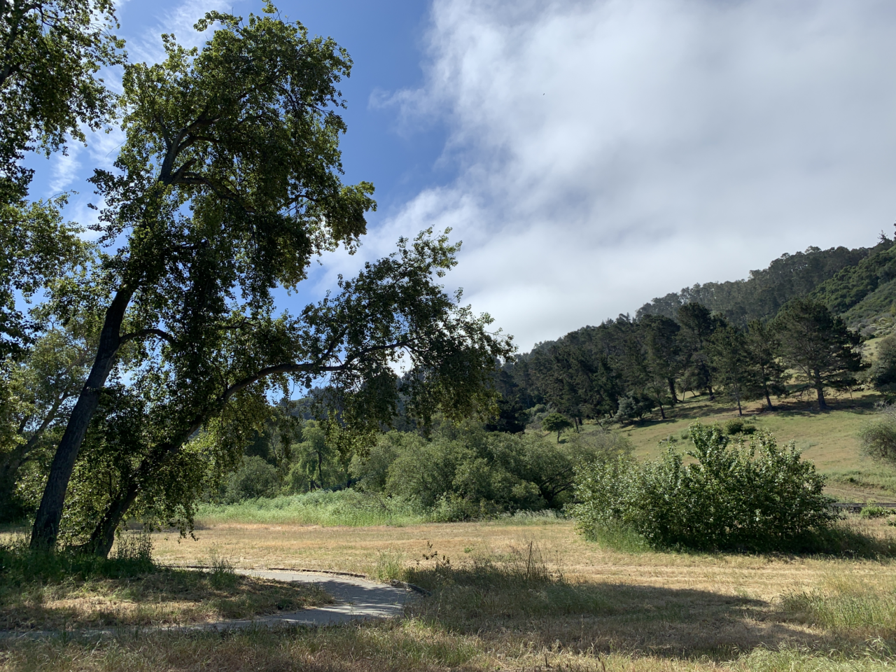 The Carmel River and visitor trails shape the park.