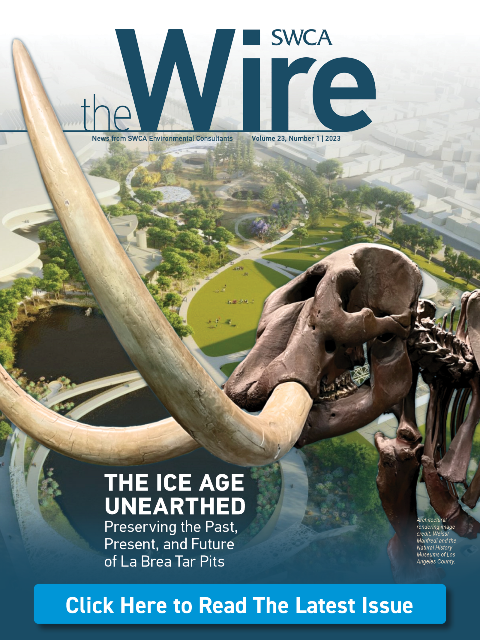 The Wire, Volume 23, No. 1 (Featured Stories) | SWCA