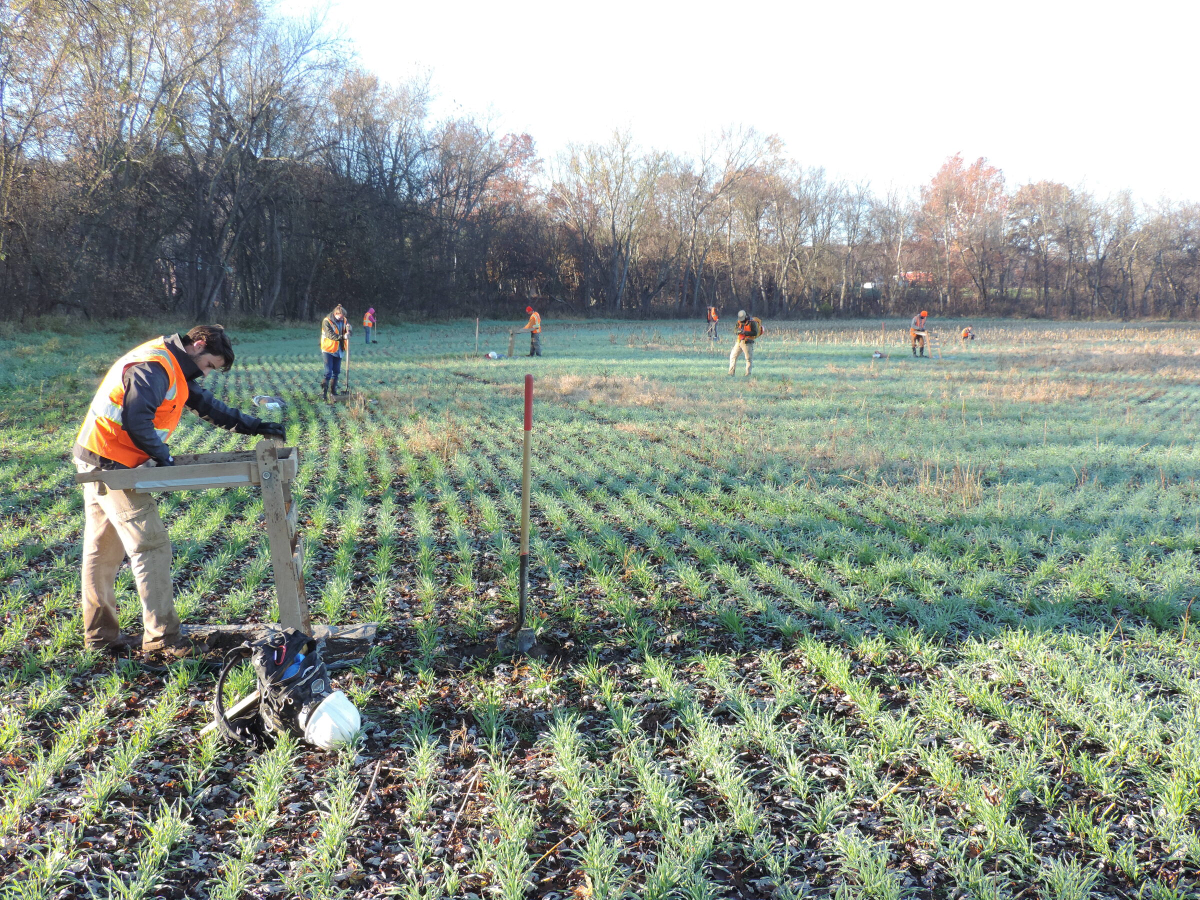 SWCA staff and sub-consultants pictured screening during an archaeology field survey.