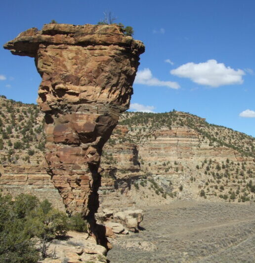 Earth Sciences | SWCA