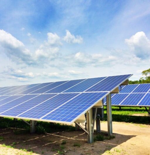 Solar panels in a row on bare dirt under a blue sky.
