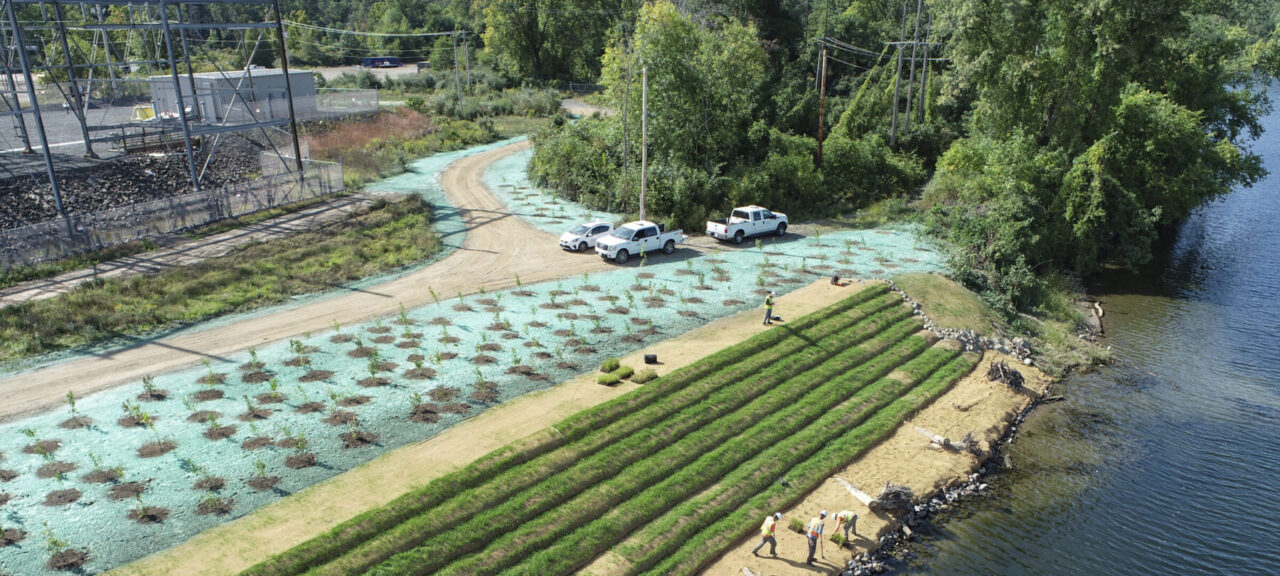 Overhead view of SWCA employees planting native species along the water to create a living shoreline.