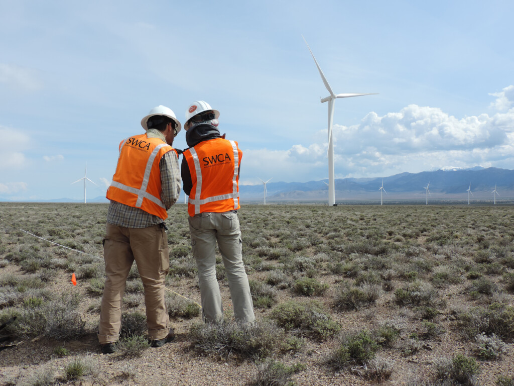 Two SWCA staff members, with orange safety SWCA vest on, standing in front of wind turbines and mountains.