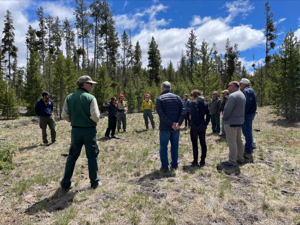 SWCA Releases 2024 Sustainability Report (SWCA News) | SWCA