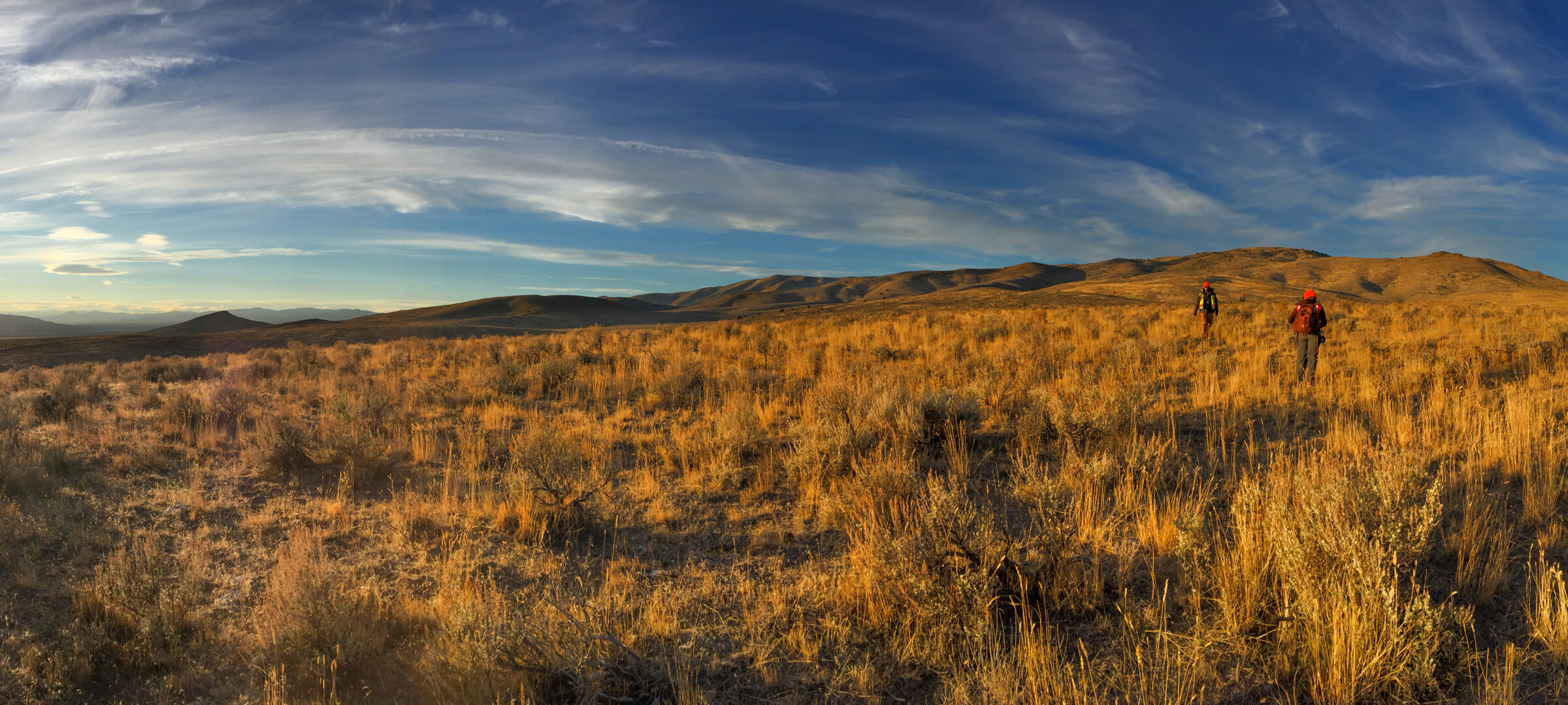People walking through vegetation that is being lit up by the sun setting with mountain ranges in the background.