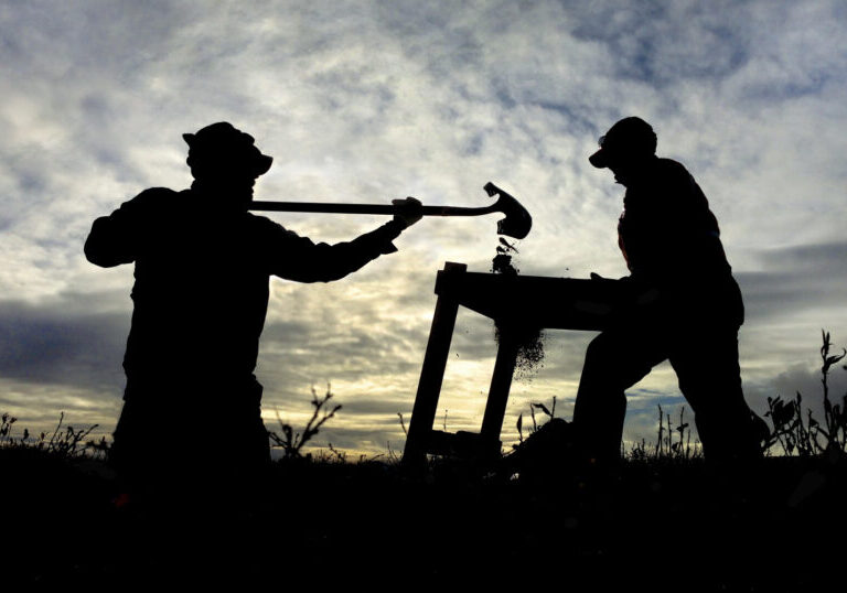 One person holding a shovel and pouring dirt through a sifter that another person is holding.