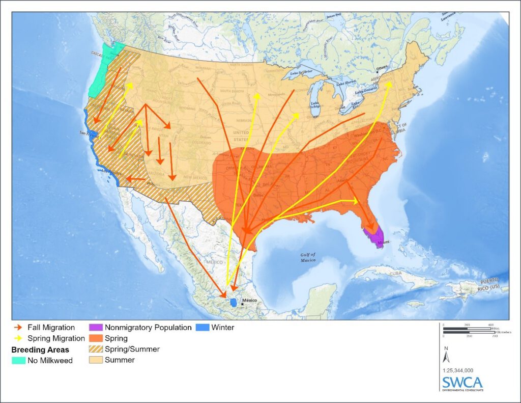 U S Fish and Wildlife Service - Monarch20Map 1024x791