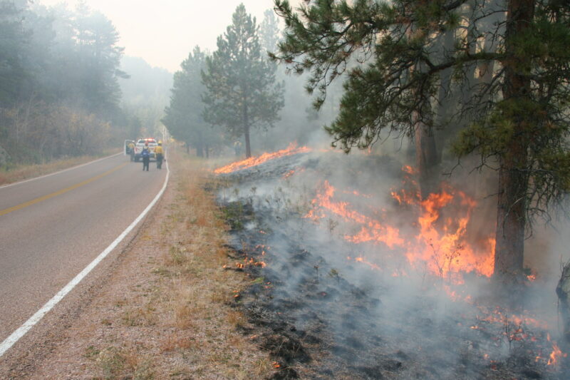 Firefighters walking down a road with a wildfire burning on grass and trees.